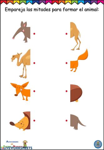 Ficha concentración animales