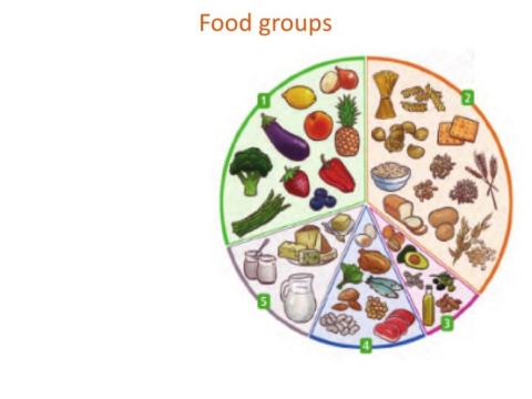 Unit 2 Food groups