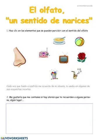 El olfato