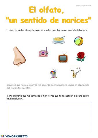 El olfato
