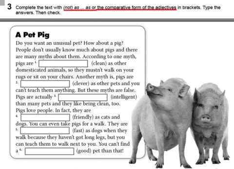 Comparative adjectives - not as...as