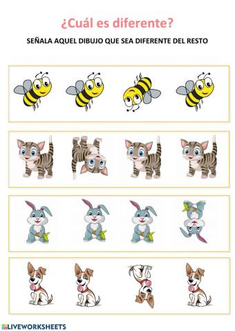 ¿Cuál es diferente?