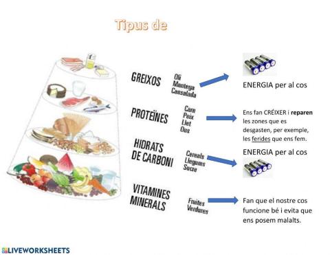 Tipus de nutrients