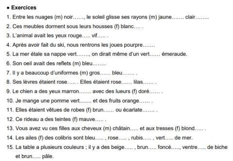 Adjectifs de couleurs