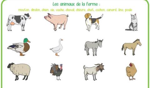 4º les animaux de la ferme