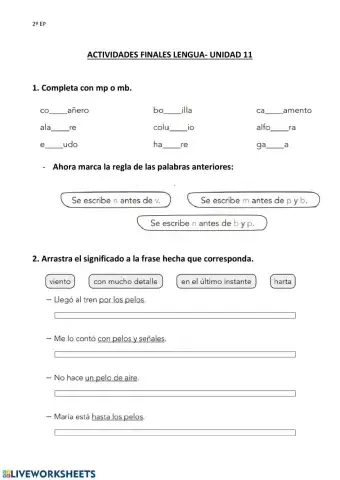 Actividades finales Lengua 2º- U.11