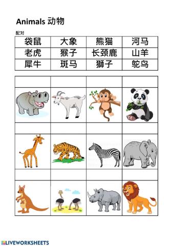 Animals Match worksheet