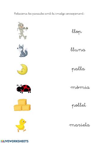 Relaciona cada paraula amb la imatge corresponent