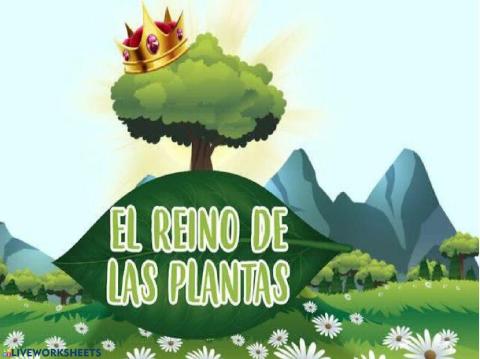 El reino de las plantas