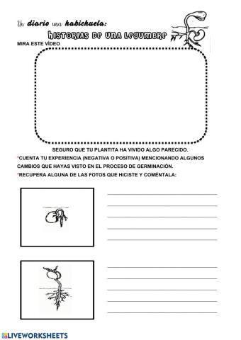 Diario de germinación