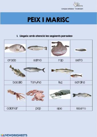 Vocabulari: peix i marisc