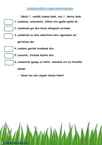 Landareekin esperimentatzen