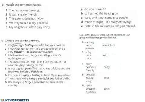 Descriptive adjectives