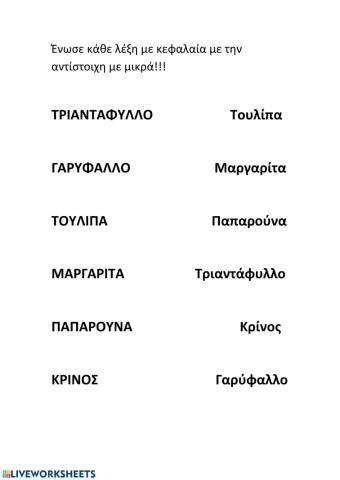 Τα λουλούδια