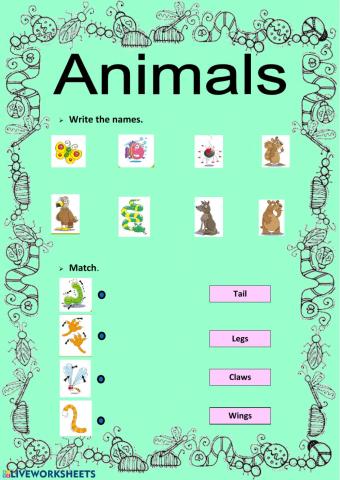 Animals