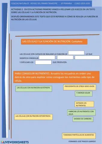 2 repaso naturales La nutrición de la célula