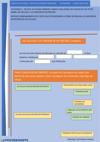 2 repaso naturales La nutrición de la célula