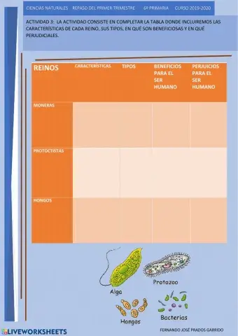 3 repaso naturales Los reinos de los seres vivos