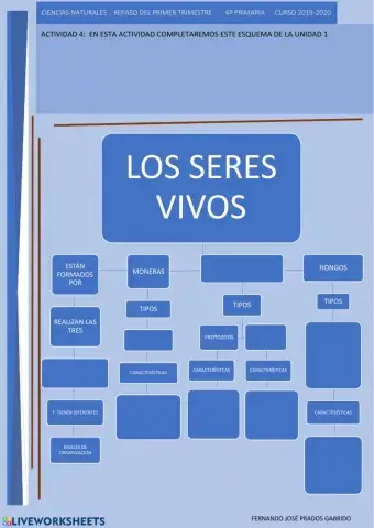 4 repaso naturales Esquema de los seres vivos