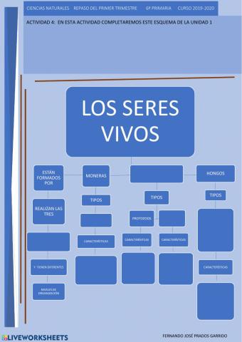 4 repaso naturales Esquema de los seres vivos