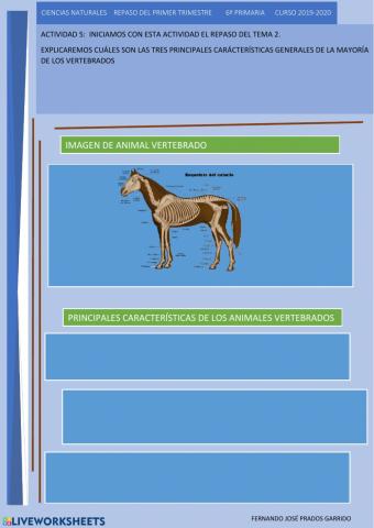 5 repaso naturales Los animales vertebrados