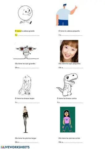 Description physique