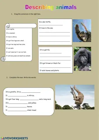 Describing animals