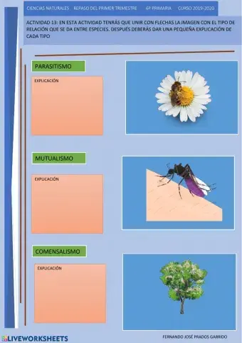 13 repaso naturales Relaciones entre especies
