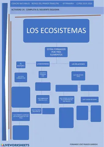 14 repaso naturales Los ecosistemas esquema
