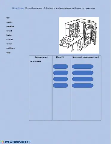 Count and non-count nouns