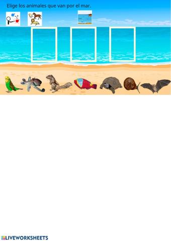 Fauna marina canaria