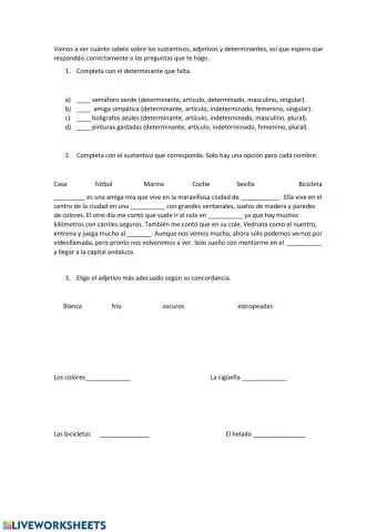 Sustantivos, adjetivos y determinantes