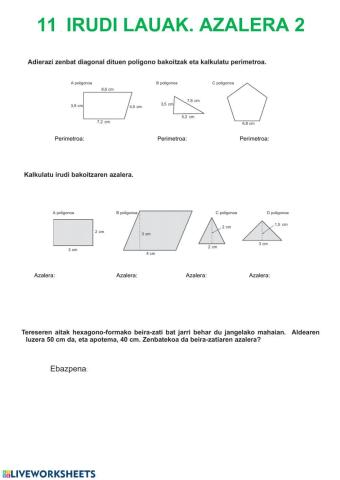 Irudi lauak. Azalera