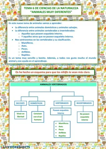 Animales Vertebrados