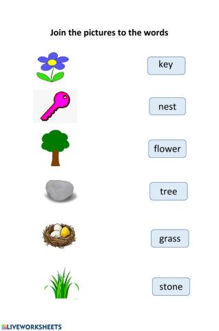 Magic Book Unit 1 Lesson 2