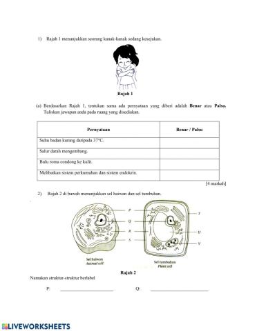 LATIHAN HOMEOSTASIS - FOTOSINTESIS