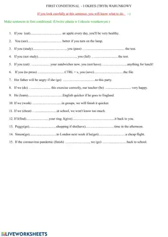 First conditional part II