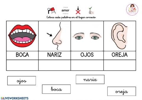 Mayúsculas y minúsculas