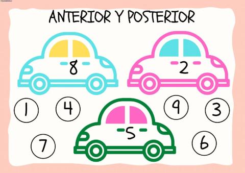 Anterior y Posterior