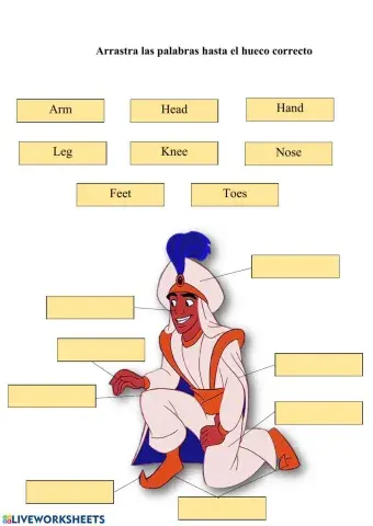 Las partes del cuerpo