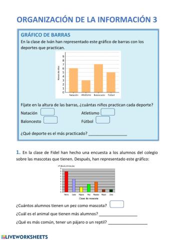 Organización de la información