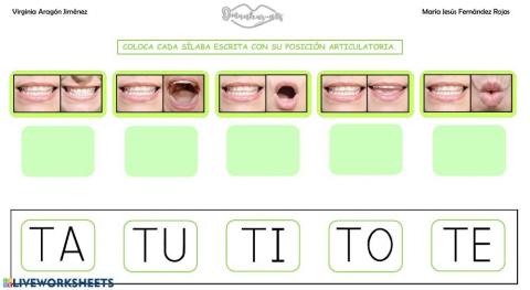 Asociación articulema-grafema t