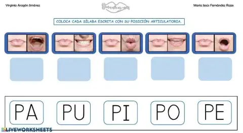 Asociación articulema-grafema p