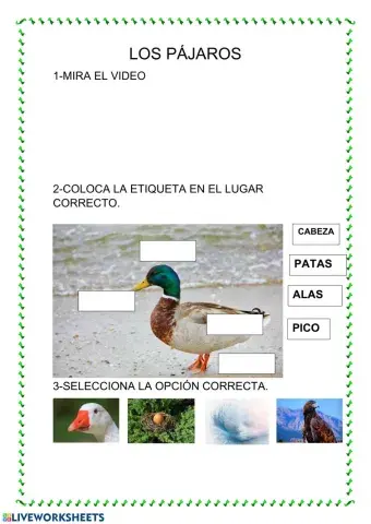 Los pájaros