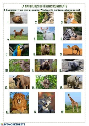 La nature des continents différents. 5 classe