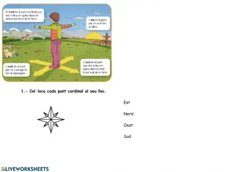 Els punts cardinals