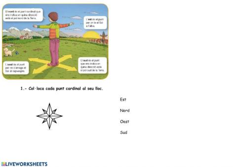 Els punts cardinals