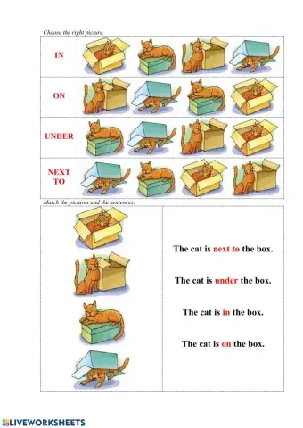 Prepositions of place