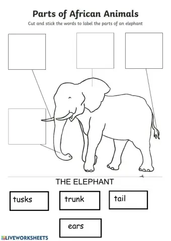 Parts of the body1- wild animals