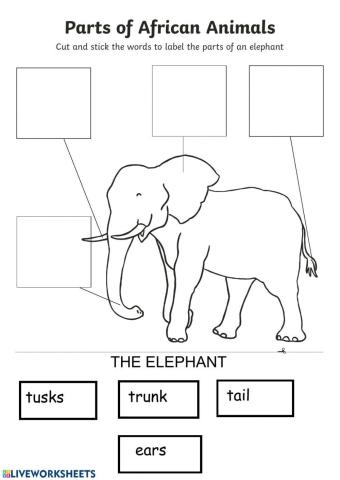 Parts of the body1- wild animals